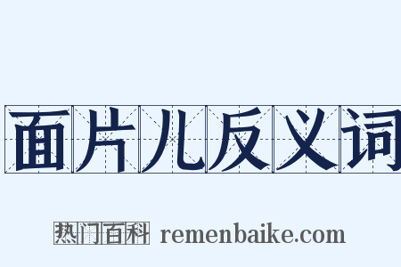 面片儿反义词是什么意思的图片